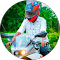 testimonial-img